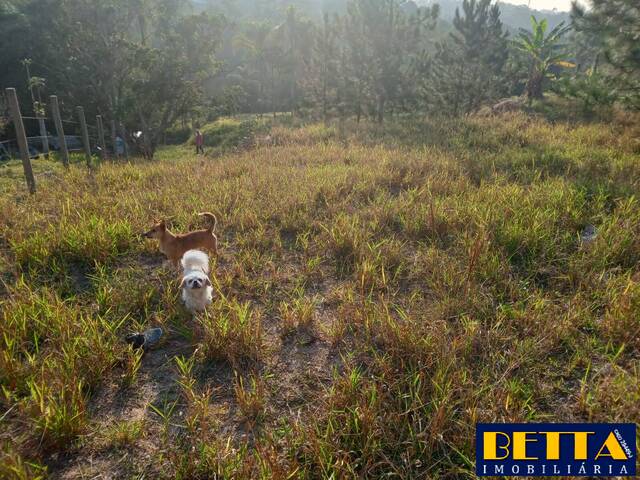 #6558 - Terreno para Venda em Jacareí - SP - 2