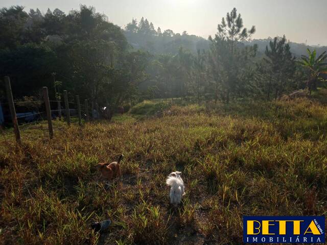 #6558 - Terreno para Venda em Jacareí - SP - 3