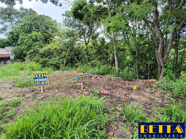 #6647 - Terreno para Venda em Jacareí - SP - 3